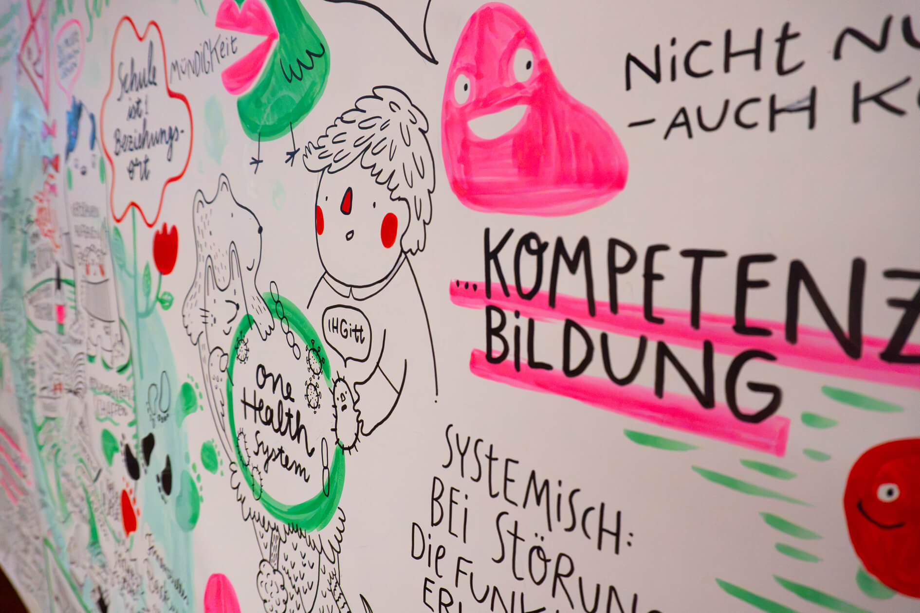 One Health Curricula 3 livonehealth graphic recording asheuer2 1