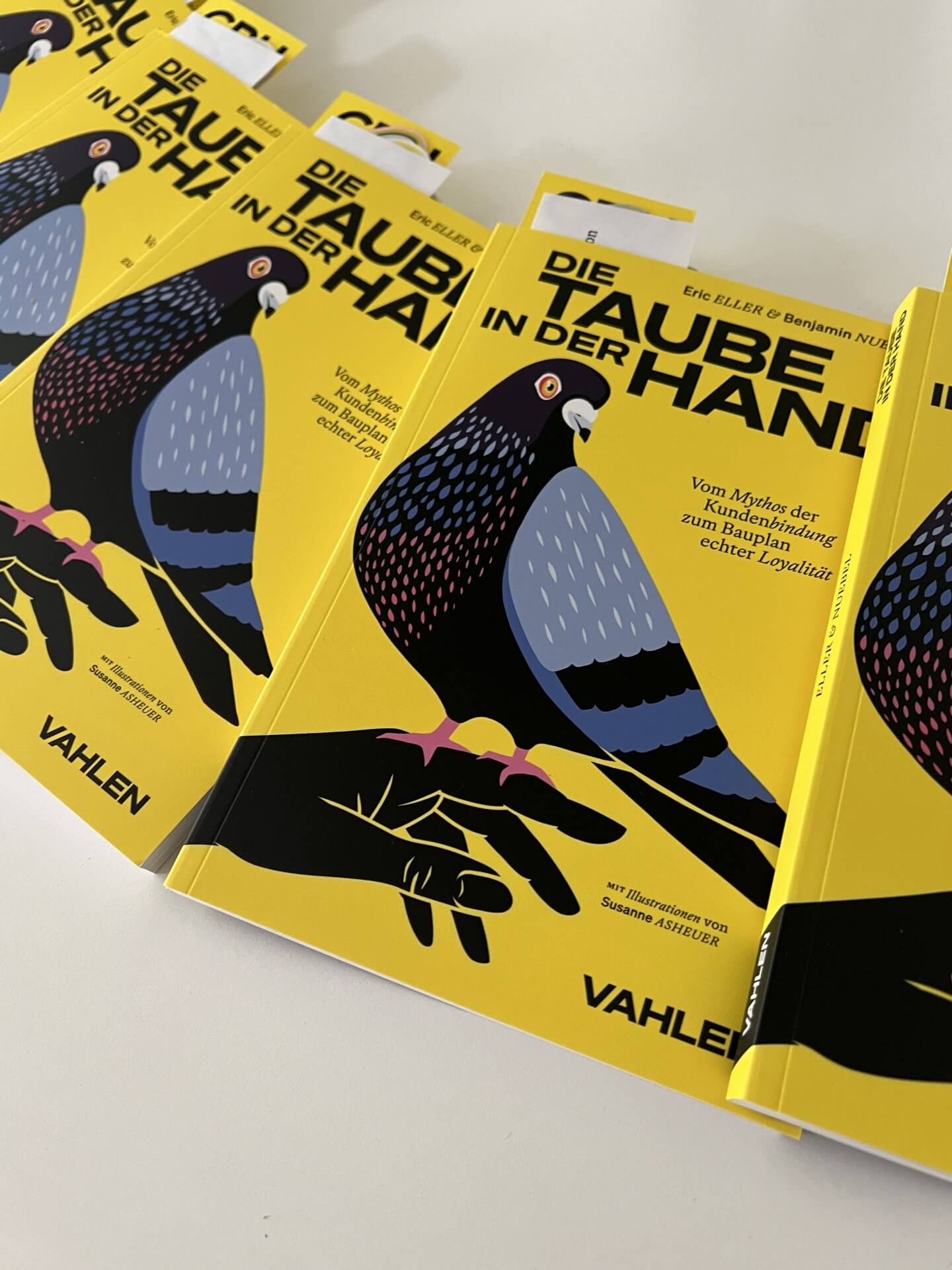 Buch: Die Taube in der Hand 7 taubensoiree susanne asheuer illustration21